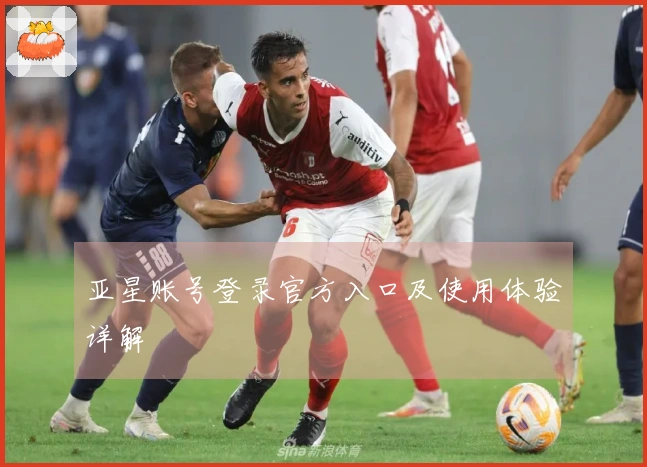 亚星账号登录官方入口及使用体验详解