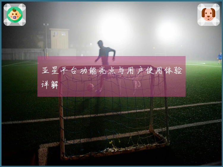 亚星平台功能亮点与用户使用体验详解