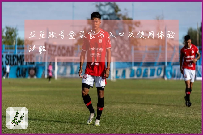 亚星账号登录官方入口及使用体验详解