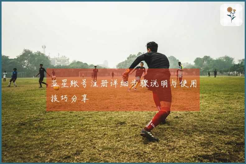 亚星账号注册详细步骤说明与使用技巧分享